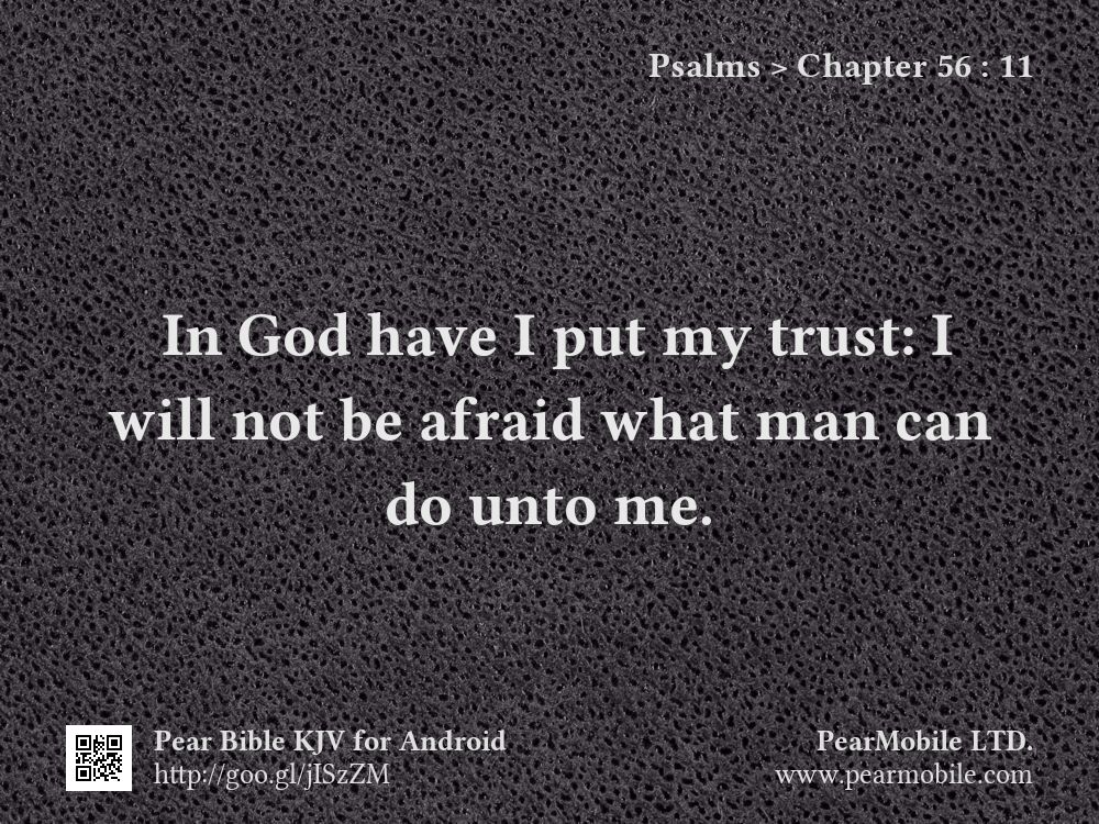 Psalms, Chapter 56:11